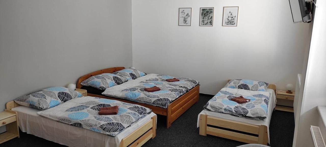 Penzion Koupaliste Litoměřice エクステリア 写真